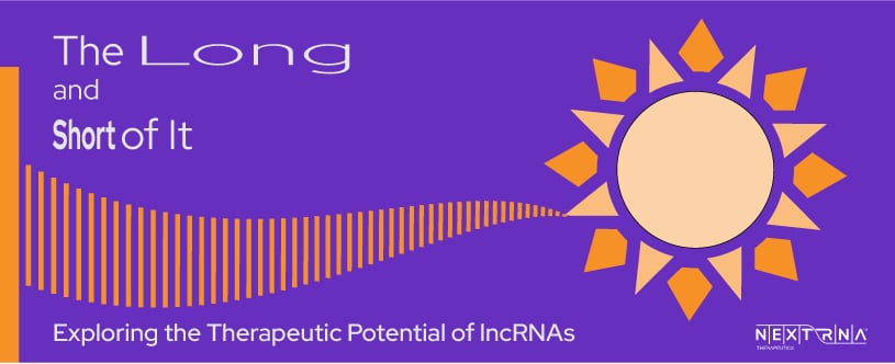 The Long and Short of It: Exploring the Therapeutic Potential of IncRNAs